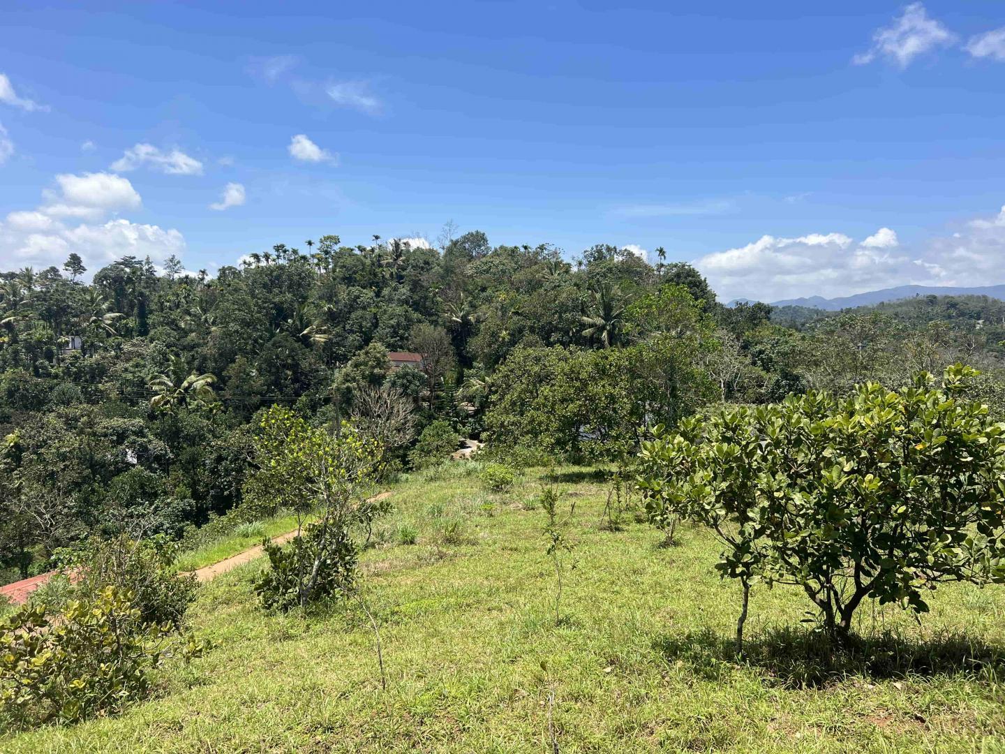 1 Acre Beautiful Resort Land